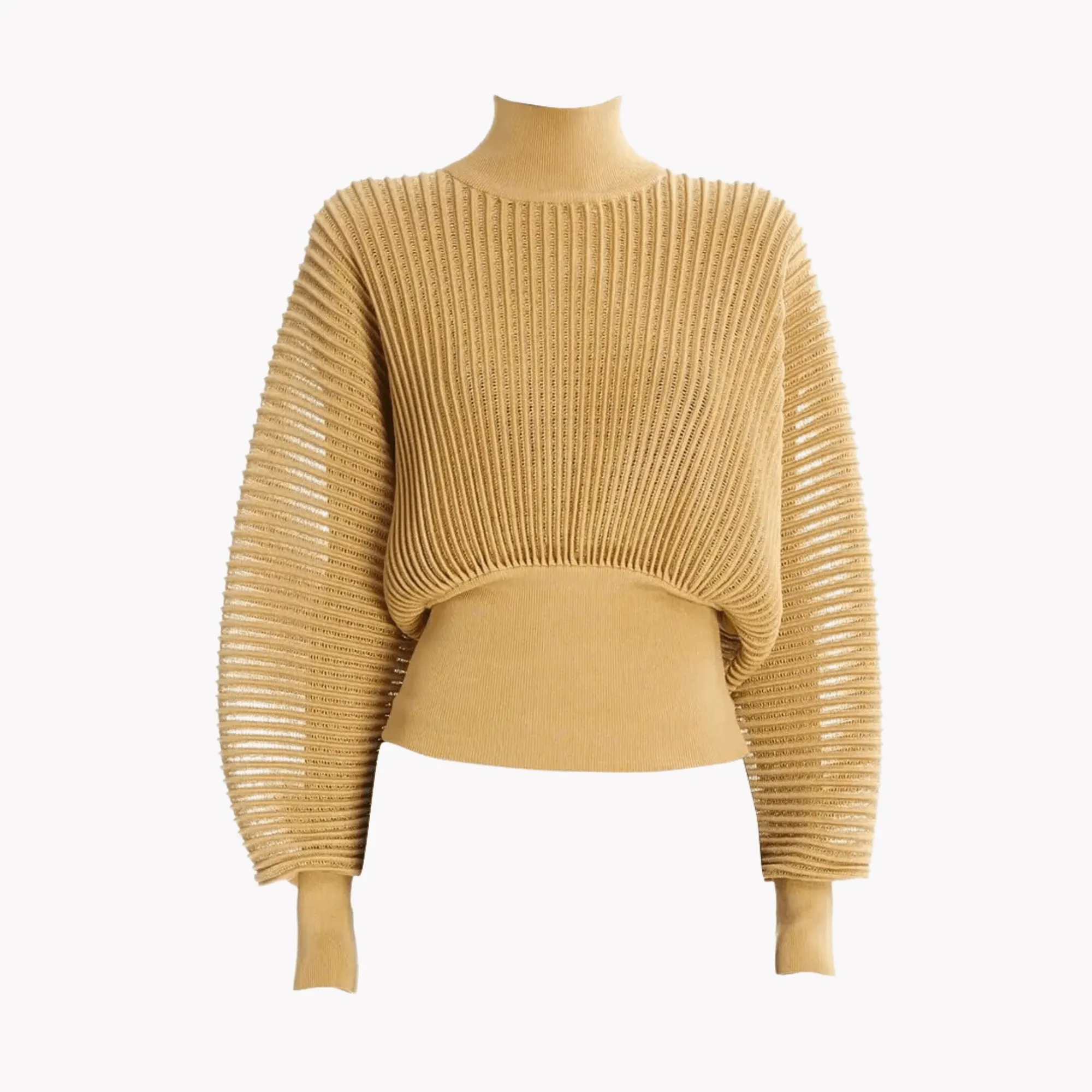 Pre Order:  Semi-sheer Turtleneck Knit Sweater