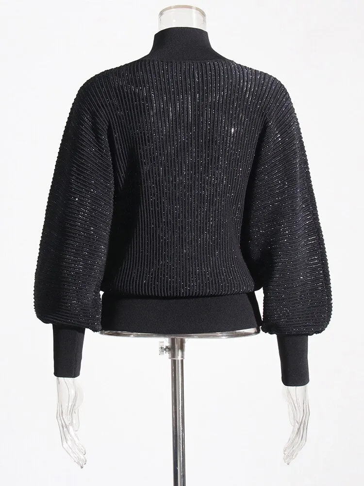 Pre Order:  Semi-sheer Turtleneck Knit Sweater