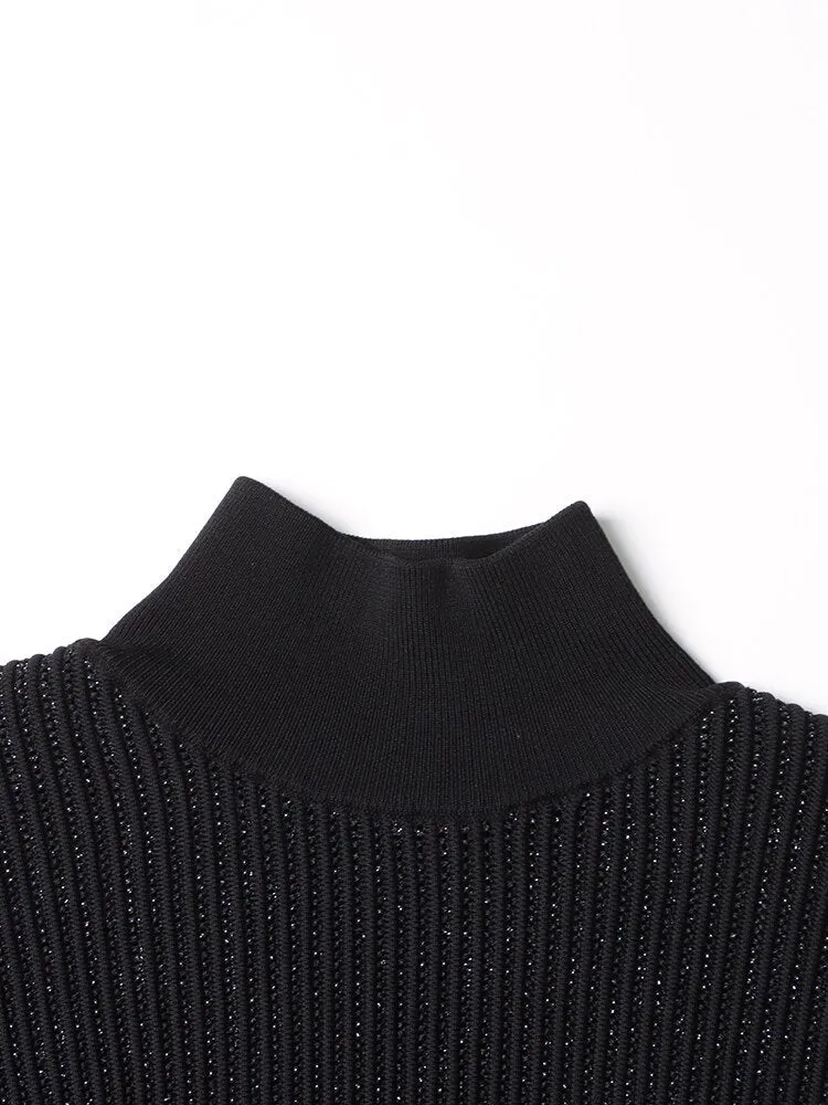 Pre Order:  Semi-sheer Turtleneck Knit Sweater